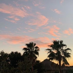 Meet your Posher, Grayson